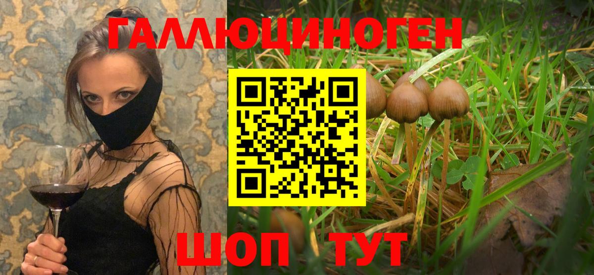 Галлюциногенные грибы мухоморы Балашиха
