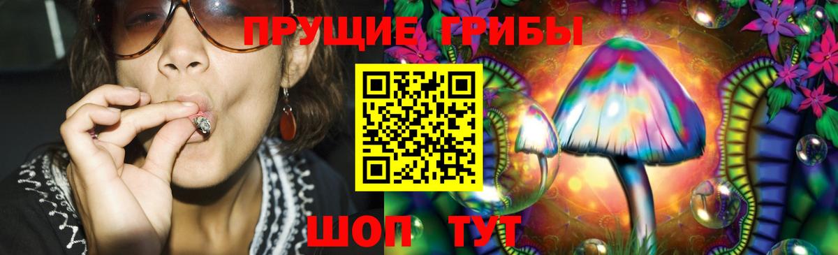 Балашиха  Псилоцибиновые грибы MAGIC MUSHROOMS  Галлюциногенные грибы Psilocybine cubensis  Вход с VPN 